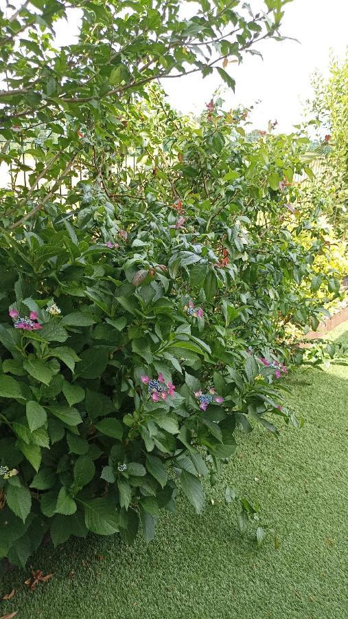 La Cle De Vos Reves Bed & Breakfast Orthevielle Ngoại thất bức ảnh